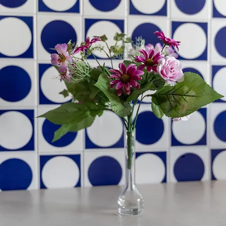 Sa Domu Celeste 公寓 *